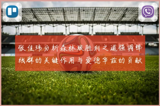 张佳玮分析森林狼胜利之道强调锋线群的关键作用与爱德华兹的贡献